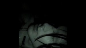 9mice - IMYA (Альбом ASPHALT)