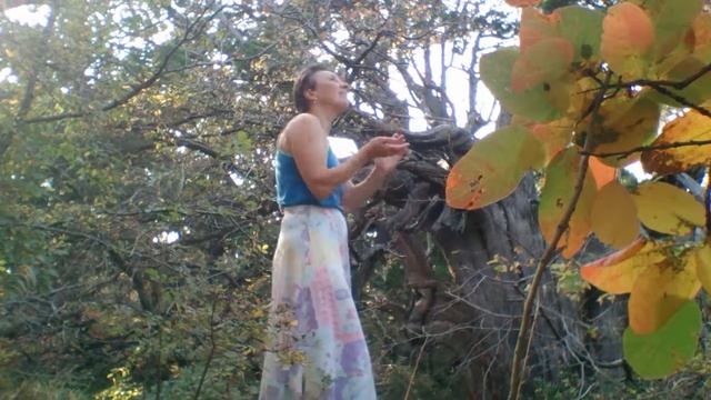 19.10.2017. Сказочник и волшебник (можжевельник). смотреть онлайн