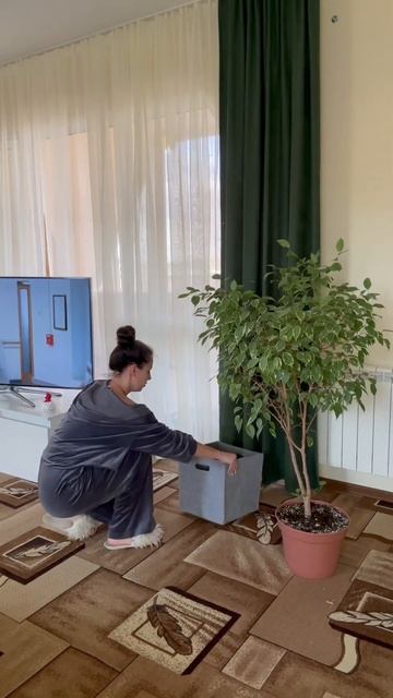 1 растение - меняет пространство🪴💚 #shorts #plants #растени? смотреть онлайн