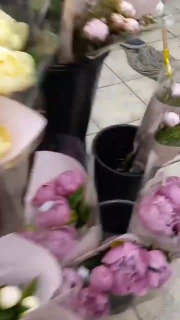 Пионы смотреть онлайн