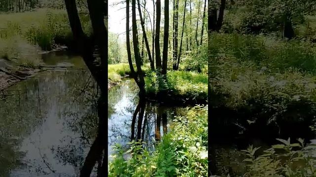 Прогулка за городом отдых на природе. Прекрасное мест? смотреть онлайн