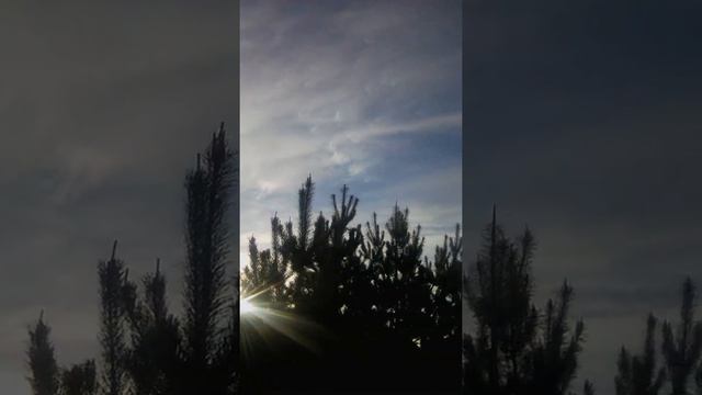 📹 Фантазии уже не хватает, чтобы придумать название... смотреть онлайн
