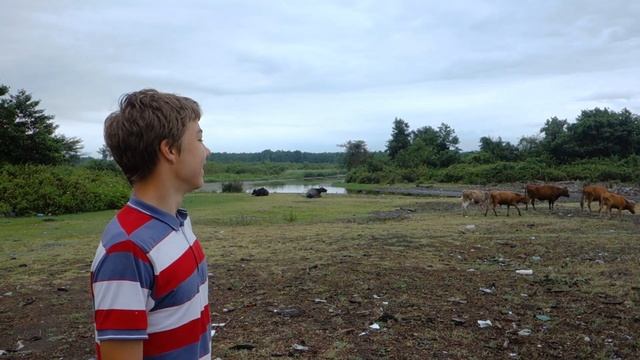 Абхазия: Гальское Море и Самый мусорный пляж на Черном смотреть онлайн