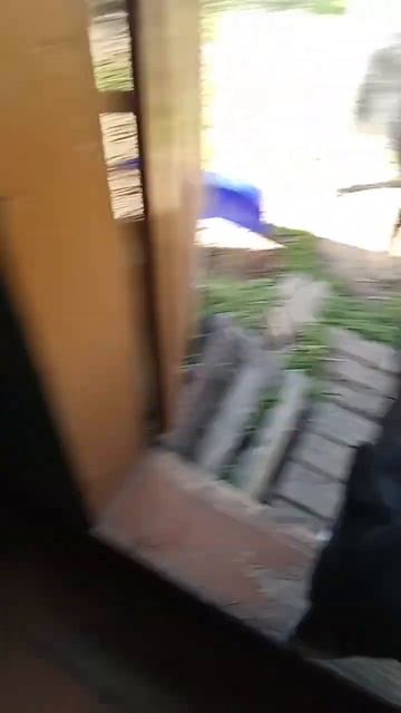 "День сурка"...#утрр #завтрак #собаки #мама #грязнаяпосуд смотреть онлайн