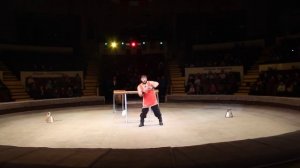 Дмитрий Халаджи. Прикол в цирке