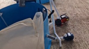 УЗВ для выращивания африканского сома и другое рыбово