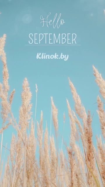#autumn #hello #осень #klinok #klinok.by #клинок #питомник #питомникра смотреть онлайн