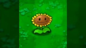 Цветок танцует под zombie's in your lawn (минус уши)