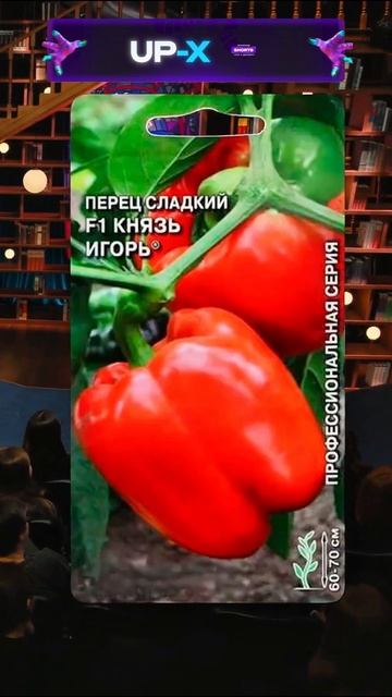 Супер-челлендж - какие Харламов, Дорохов и Азамат семе?