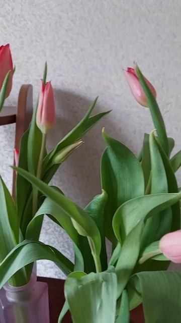 Настроение #весна 🌷 смотреть онлайн