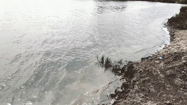 Летом хочется быть поближе к водоёмам. 16.08.22. смотреть онлайн