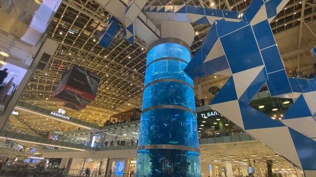 Аквариум торгового центра Авиапарк . смотреть онлайн