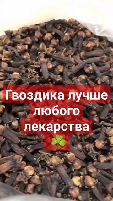 Гвоздика лучше любого лекарства☘️ #рек #здоровье смотреть онлайн