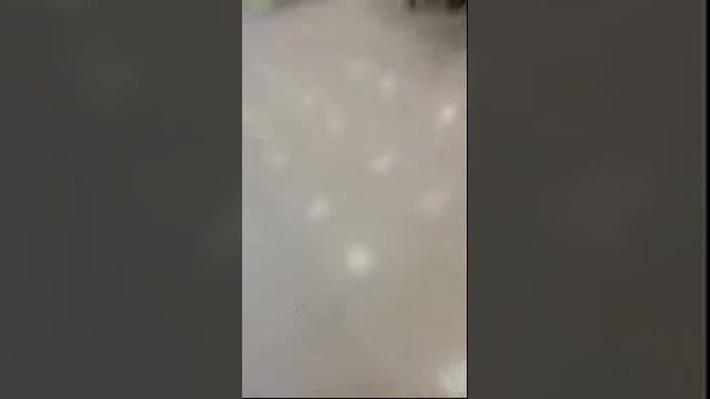 Сити Молл смотреть онлайн