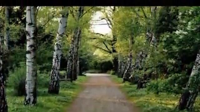 "белая берёза" - А.Дюмин смотреть онлайн