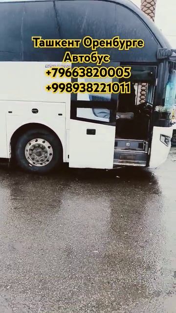 ташкент москва автобус москва узбекистан автобус смотреть онлайн