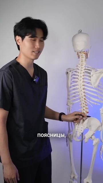 Болит поясница, упражнение смотреть онлайн