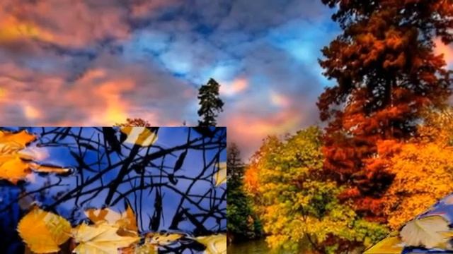 Осенние мотивы.