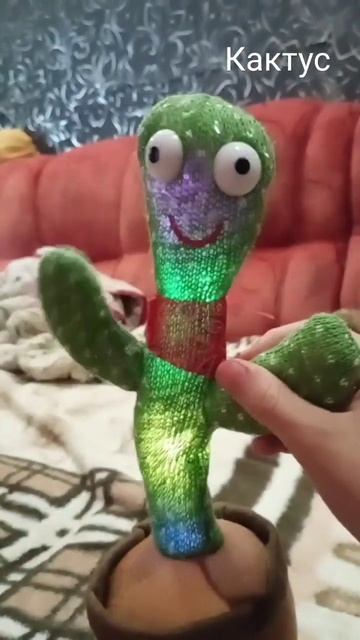 кактус поёт #кактус смотреть онлайн