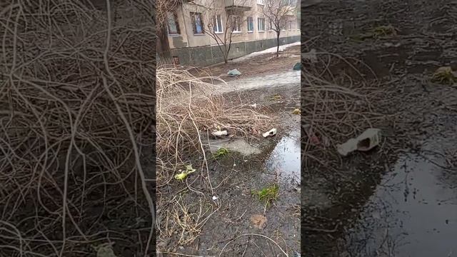 Какая ГРЯЗЬ.орск Тжх ПАРТНЕР .ОРСК. смотреть онлайн