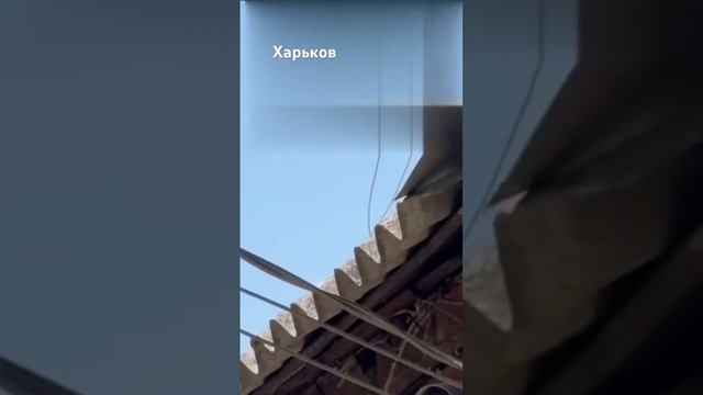Харьков Атакуют герани РФ.22.04.2025г. смотреть онлайн