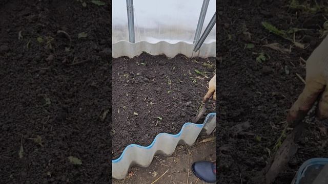 Раннюю зелень любите? Пора сеять. Липецк. смотреть онлайн