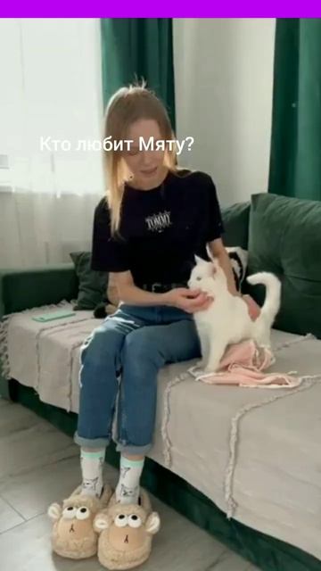 кто любит мяту? смотреть онлайн