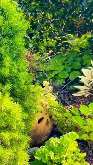 Вечер в моём саду 🌟Mein Garten am Abend 🌟 смотреть онлайн