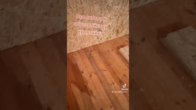 #курятник #курынесушки #курник #куры #сельскоехозяйств смотреть онлайн
