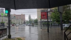 Дождь в Ростове-на-Дону на 8 мая 2025г. На центральной улице Ростова.