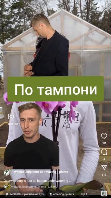 Полив орхідей, монстер(лайфхак який не працює) #орхіде? смотреть онлайн