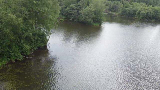 Девятый пруд (30)