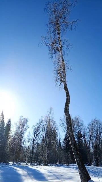 Слушай там далеко далеко есть земля😉✌️#деревня #при? смотреть онлайн