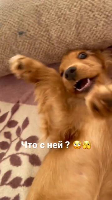 Здесь есть врачи? Что с ней? 😅 смотреть онлайн