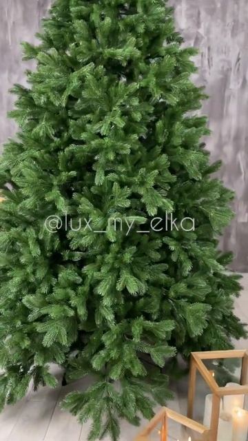 Ель Империя смотреть онлайн