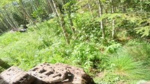 Катаемся на квадроциклах Aodes pathcross max 1000 mud pro и Yamaha Grizzly