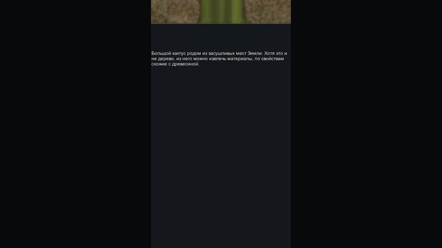 ПОЧЕМУ КАКТУСЫ - ЭТО ИМБА в RimWorld #rimworld #римворлд смотреть онлайн