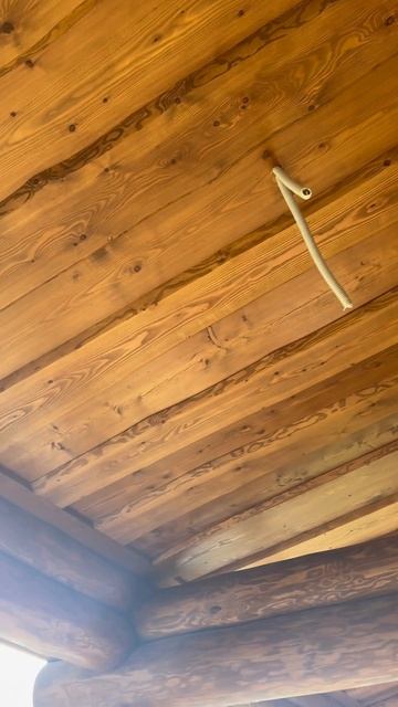 Потолок из необрезной доски лиственницы! #wood #woodworking #с? смотреть онлайн