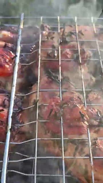 Куриное мясо на углях / Chicken Kebab #shorts