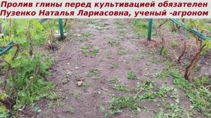 Вносим удобрения? Перед внесением удобрений на глине рекомендую ее пролить водой. Зачем?