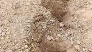 Посадка картофеля сдвоенными рядками. Все плюсы этого способа посадки