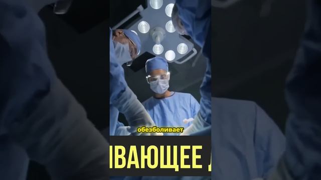 Гвоздика: чудо природы, которое стоит попробовать!#гво смотреть онлайн