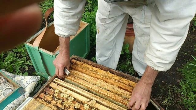 Формирование пакета. смотреть онлайн