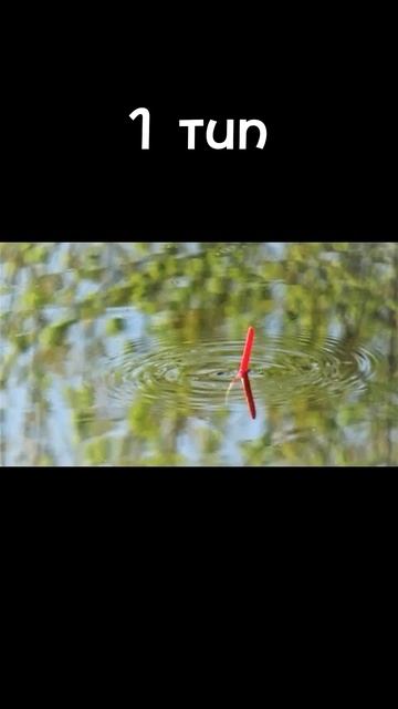 два типа рыбаков #fishing #80smusic #automobile #music #lake #nature #fish #song #car