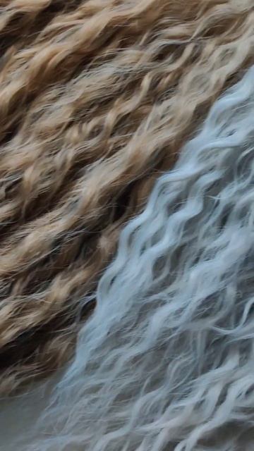 Долли Локс/Dolly locks 🌿Мастер - Ада Гербер #афрокудри #дре? смотреть онлайн