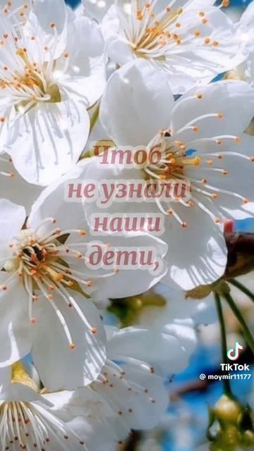 С ДНЁМ ВЕЛИКОЙ ПОБЕДЫ!🙏 ПОМНИМ!🙏 ГОРДИМСЯ! смотреть онлайн