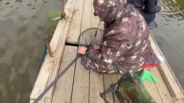 Спорт зона смотреть онлайн