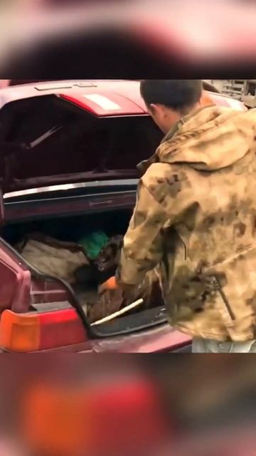 6-год проекта Миллионер с нуля, итоги 2023 года (3-часть). О смотреть онлайн