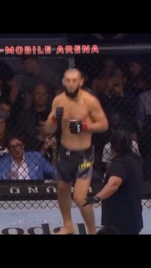 UFC. UFC. UFC.