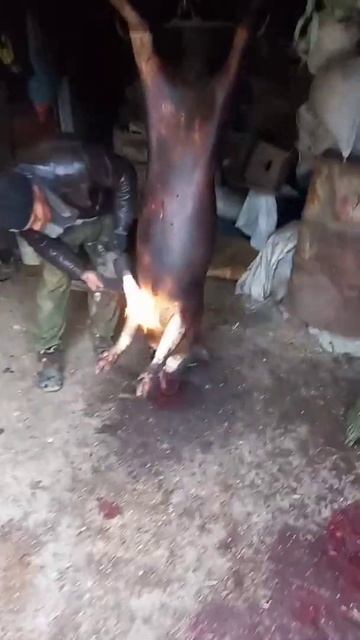 не для слабо нервных #режимсвинью#свинья#sh смотреть онлайн